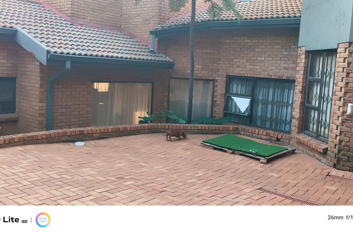 A spacious brick-paved rear patio area featuring a low brick retaining wall, overlooking the exterior facade of the house with tiled roofing.
