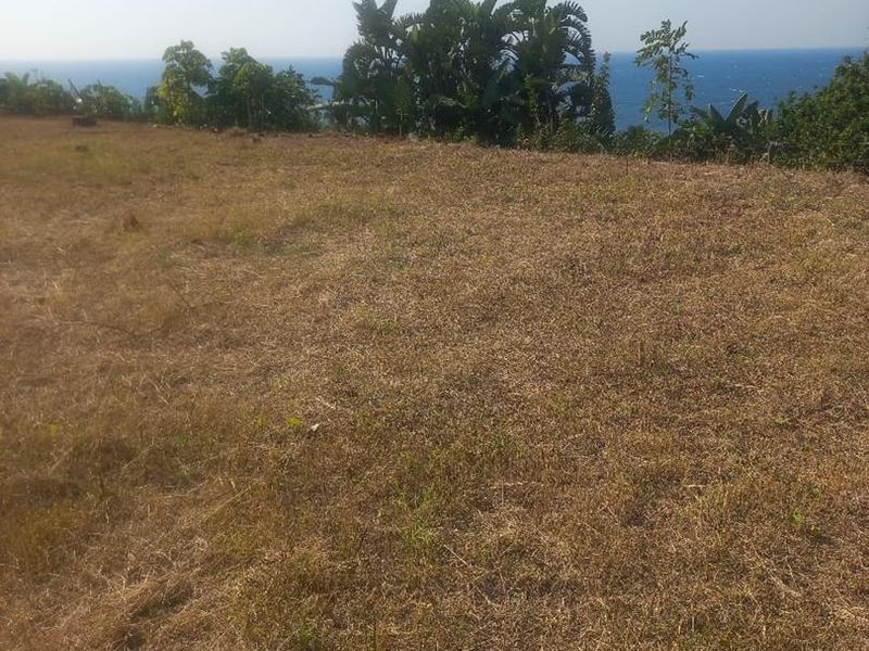 2205m2 Prime Coastal Land for Sale in Salt Rock - Photo 1