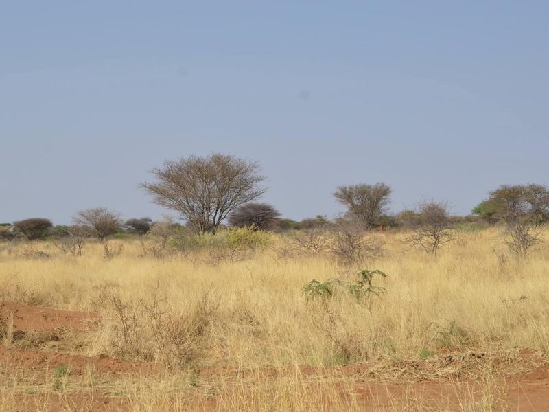 A wide-angle view of open agricultural land featuring native trees and dry grassland terrain.