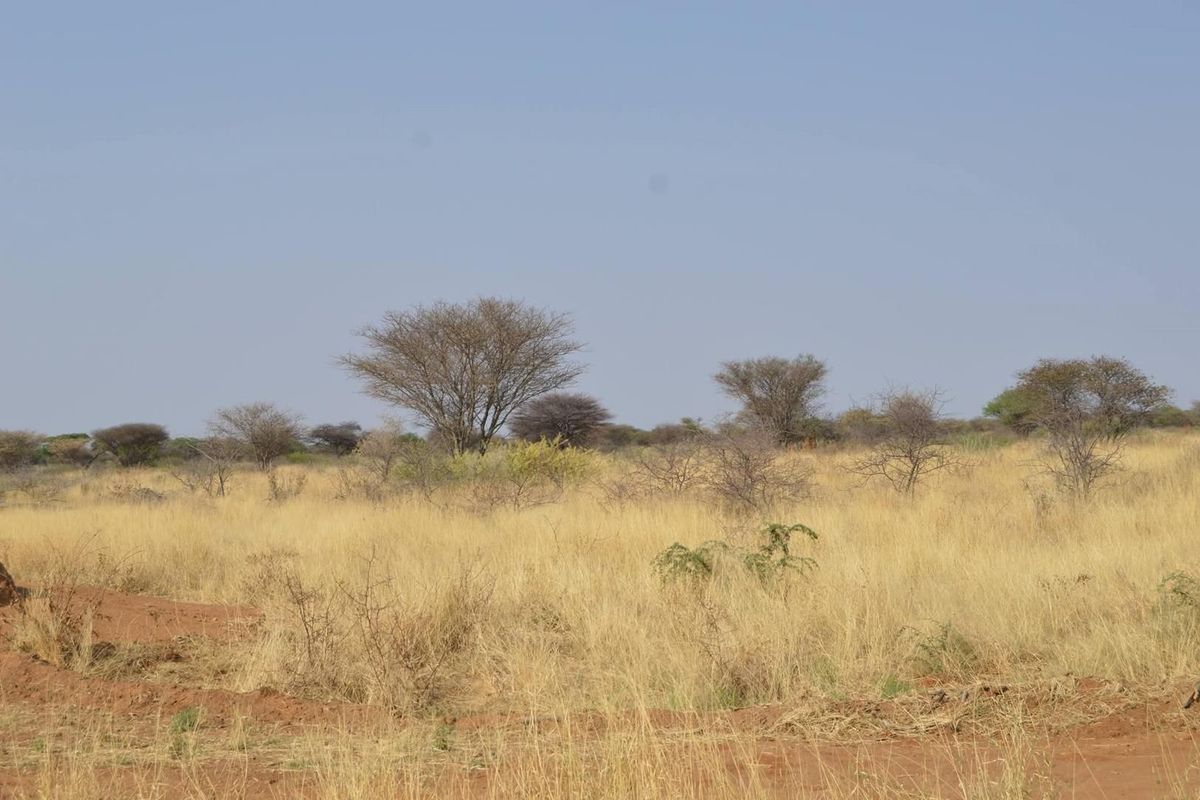 A wide-angle view of open agricultural land featuring native trees and dry grassland terrain.
