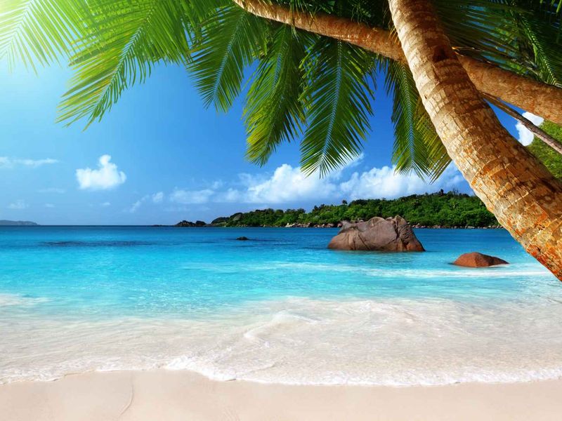 A scenic view of a pristine tropical beach with white sand, turquoise water, and lush coastal vegetation.