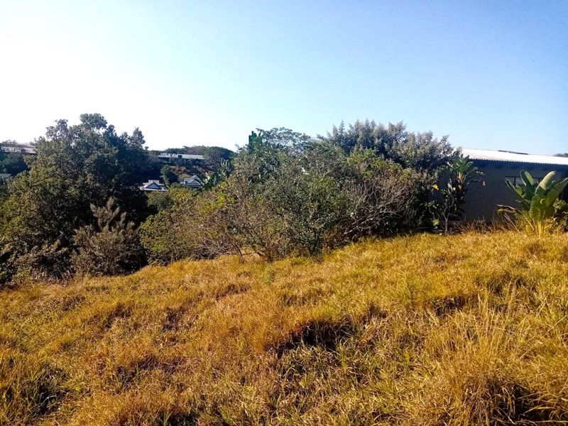 Vacant Land with Approved Architectural Masterpiece - Photo 2
