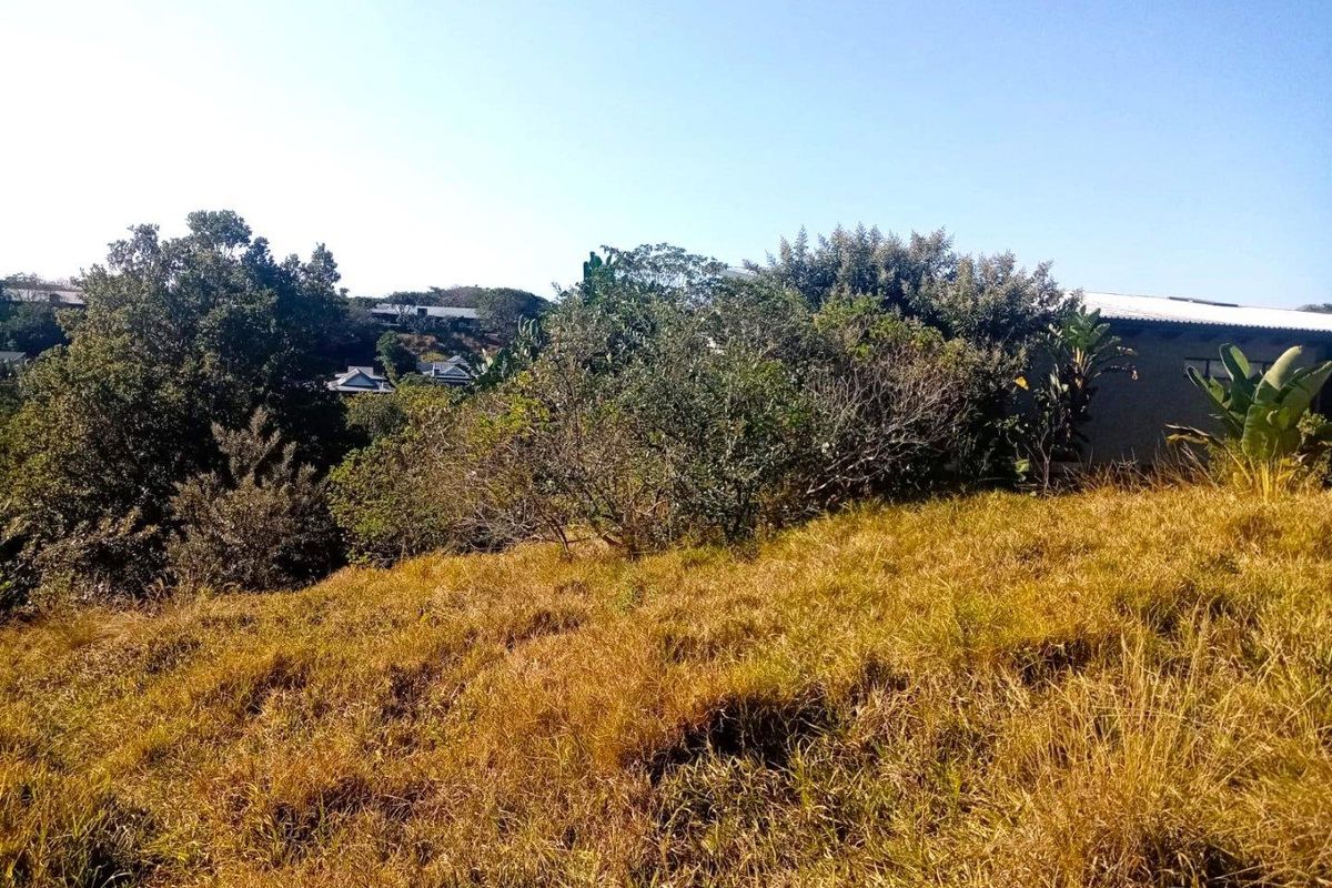 A view of the sloped residential land featuring established trees and surrounding neighborhood landscape.