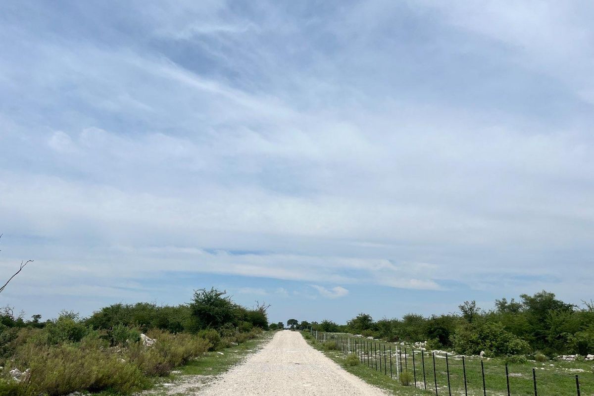 CALLIE’S GAME LODGE | EXCEPTIONAL HOSPITALITY & WILDLIFE INVESTMENT NEAR TSUMEB - Photo 4