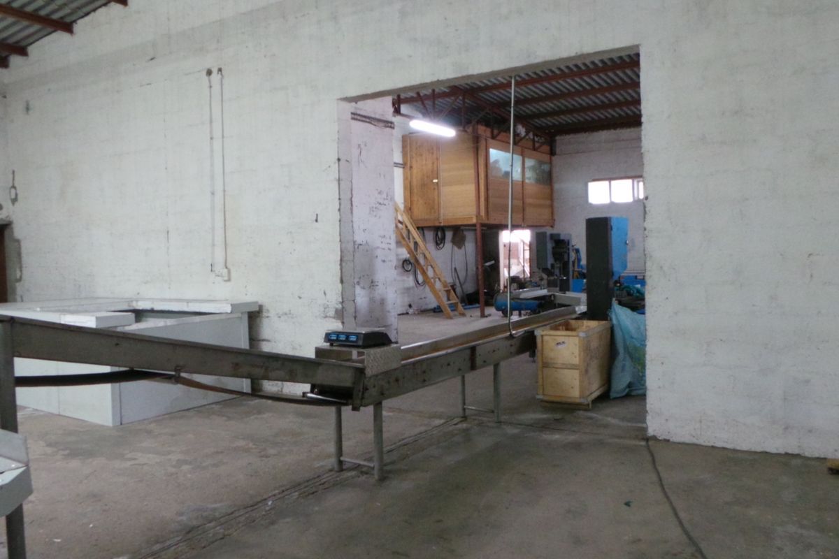 Light Industrial Warehouse - Photo 3