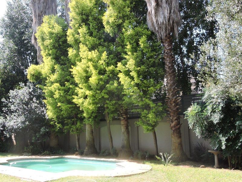 A private backyard area featuring a swimming pool surrounded by established trees and a solid boundary wall.