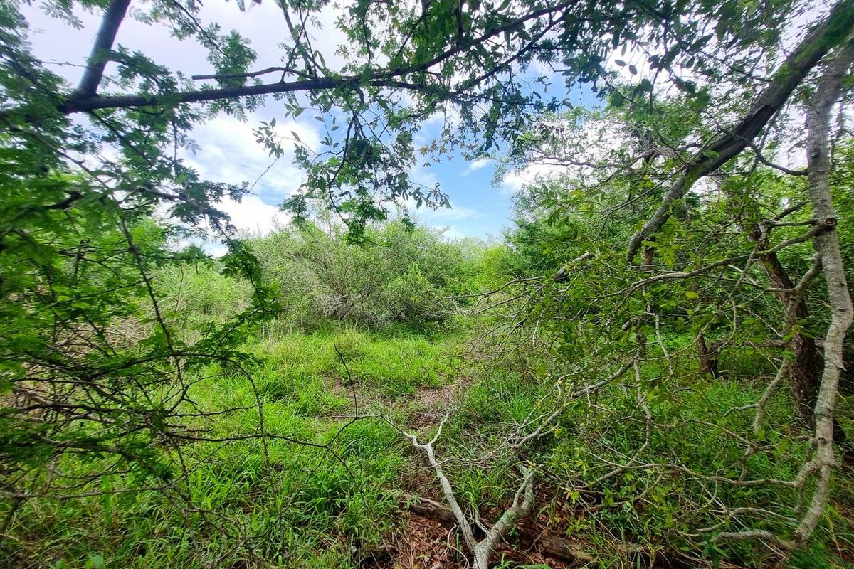 Well-Located, Riverfront Stand in Moditlo Wildlife Estate - Photo 5