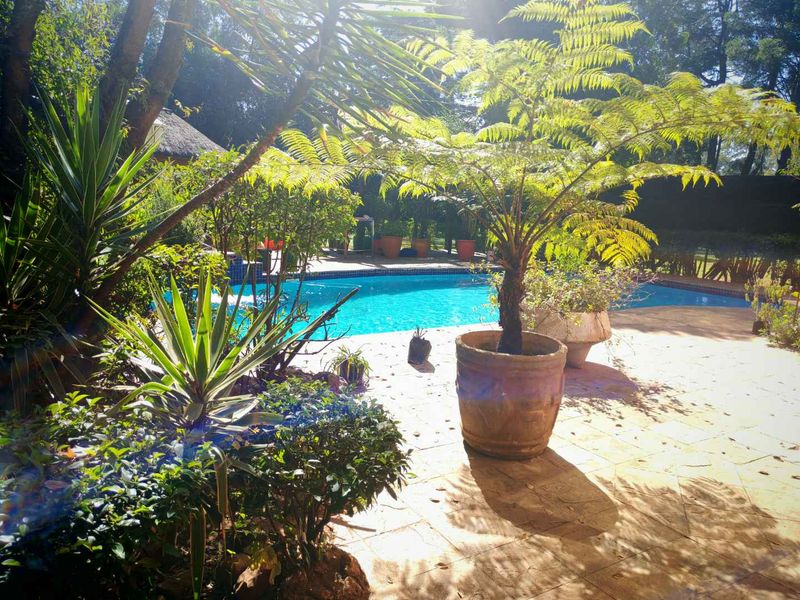 Prime Farm with River & Pool – Ideal for Development or Trucking - Photo 2
