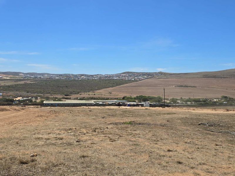 Exclusive Opportunity: Buy Directly from the Developer at Hartland Lifestyle Estate - Photo 6