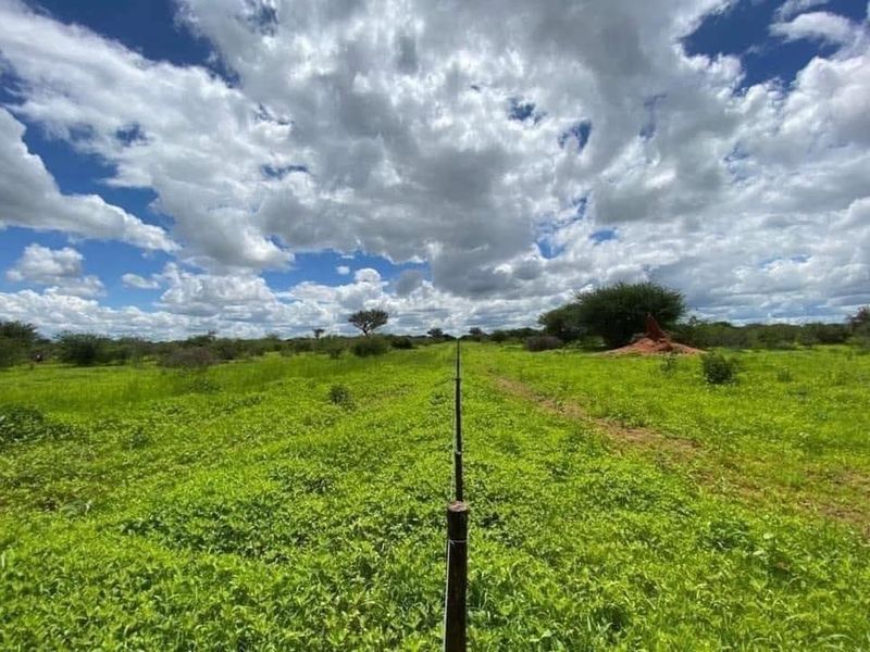 Hochfeld- For Sale- N$2 580 000 - Photo 4