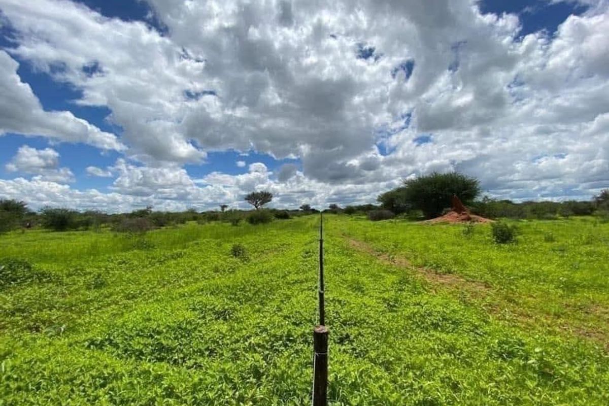 Hochfeld- For Sale- N$2 580 000 - Photo 4