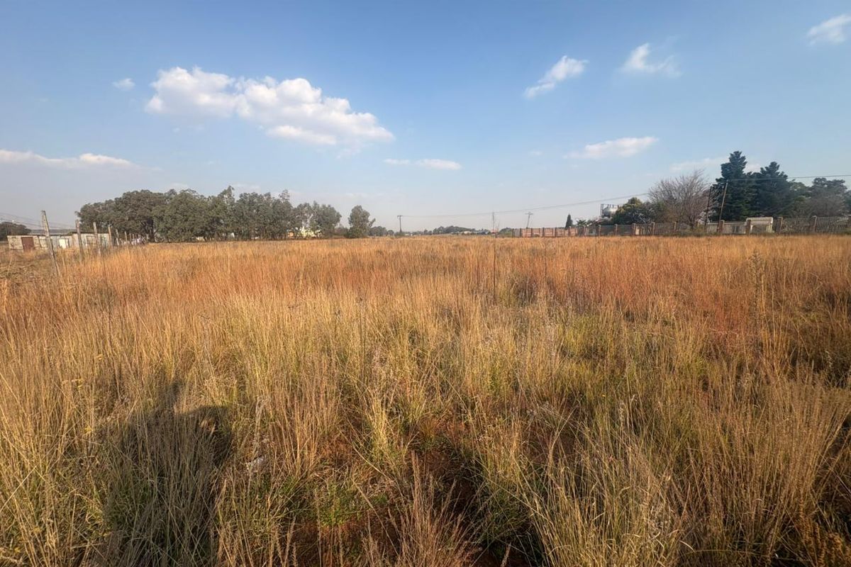 Vacant Land with Endless Potential - Photo 2