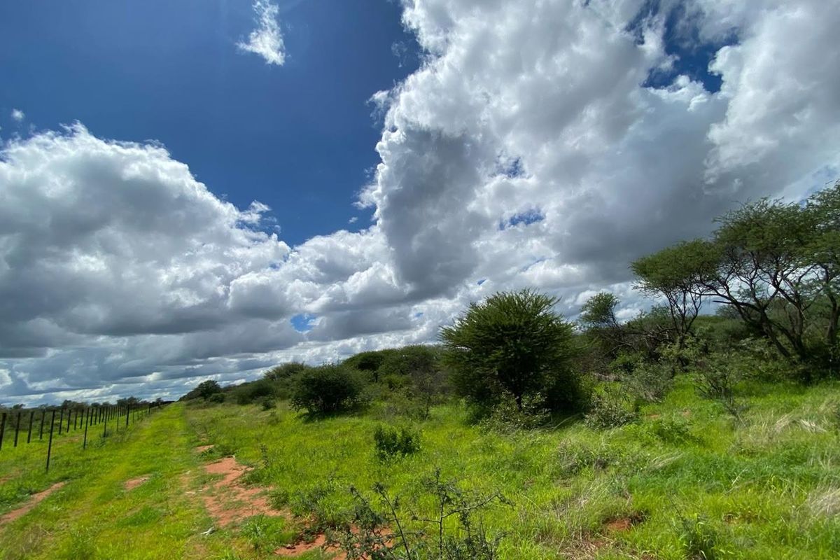 Expansive open veld landscape featuring natural vegetation and perimeter wire fencing under a bright, cloudy sky.