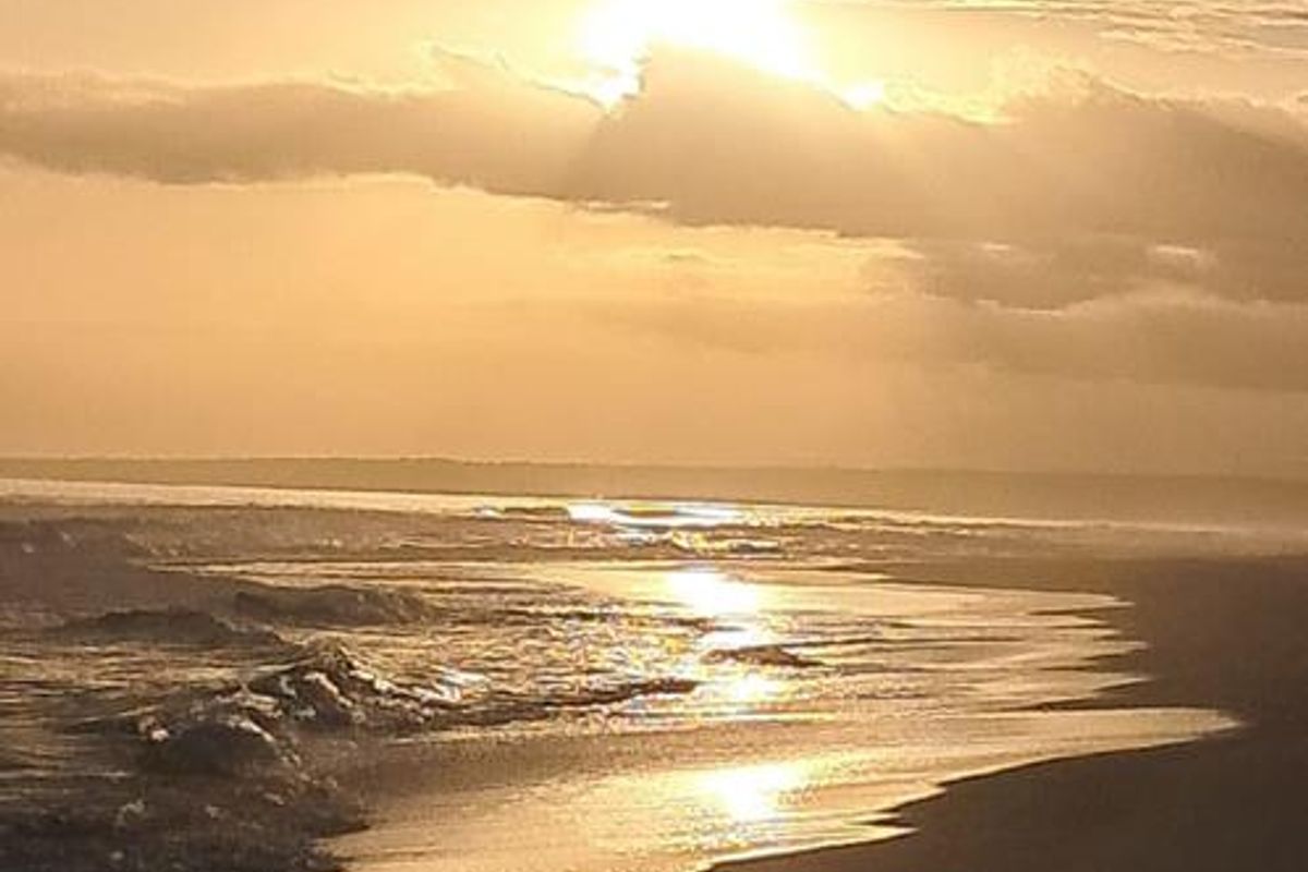 A scenic view of the coastline at sunset, highlighting the natural landscape and beach setting.
