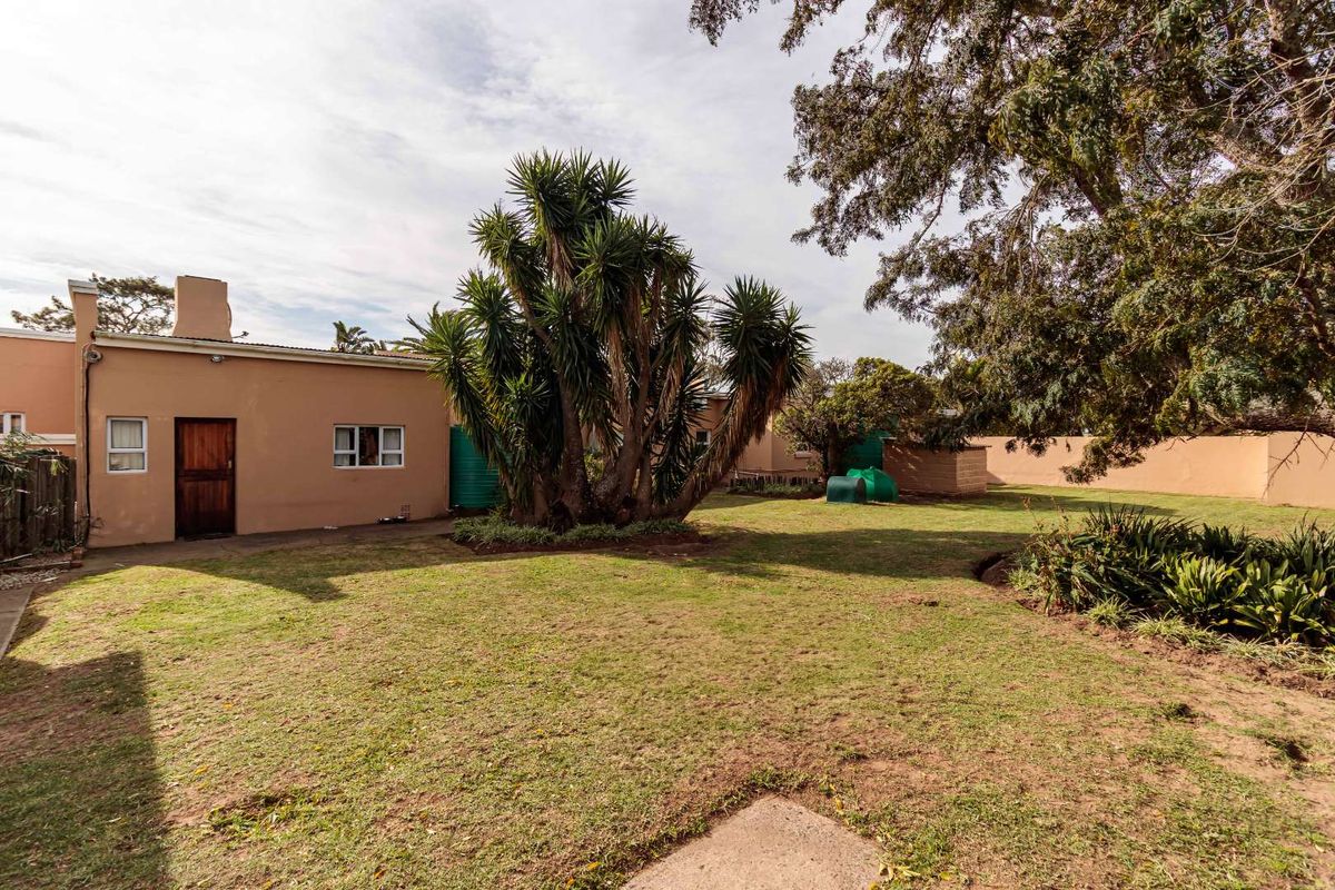 A spacious rear garden area featuring a large mature yucca tree, lawn, and perimeter boundary walls, providing a private outdoor space.