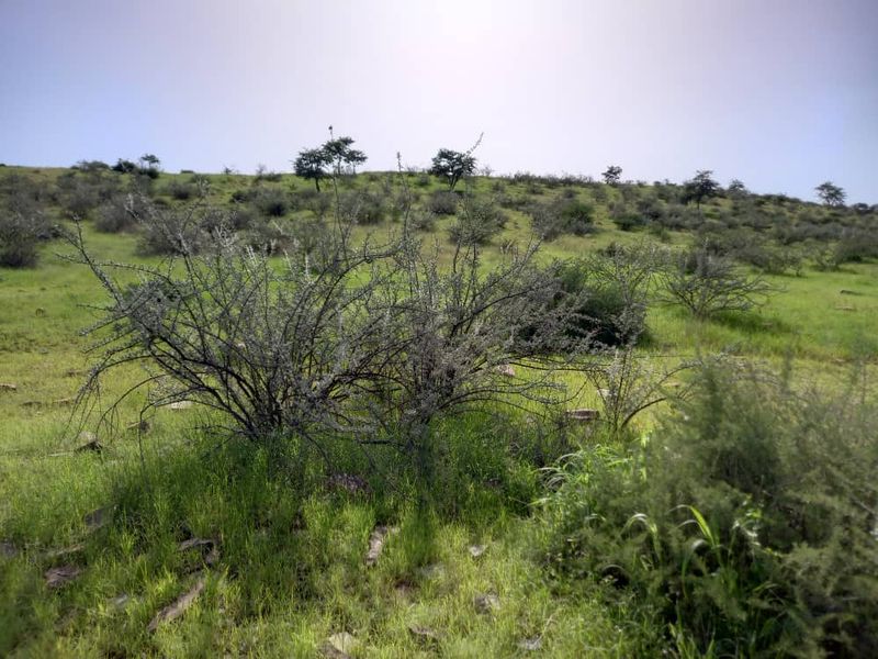 Farm For Sale - Photo 6