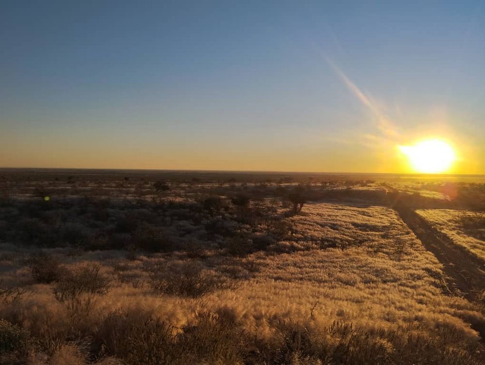 overview of farm land