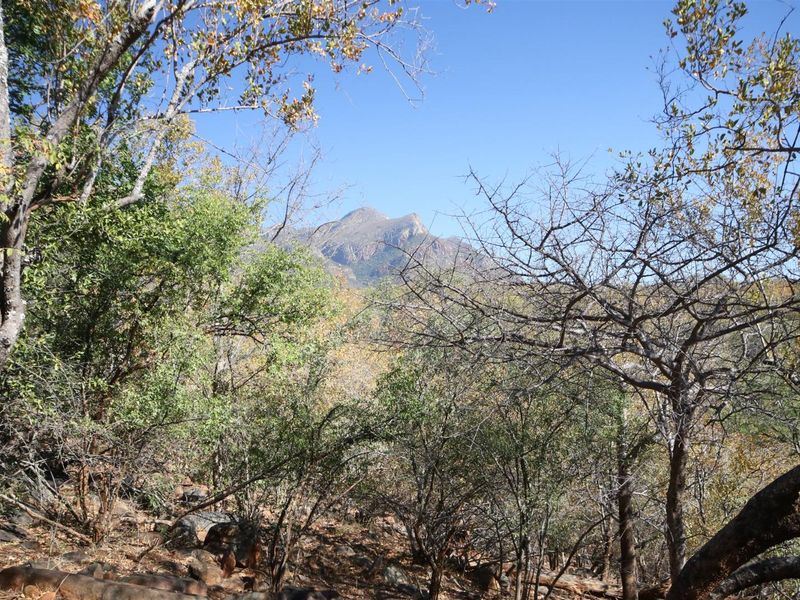 A scenic view of the surrounding natural landscape and mountain range from the vacant residential property.