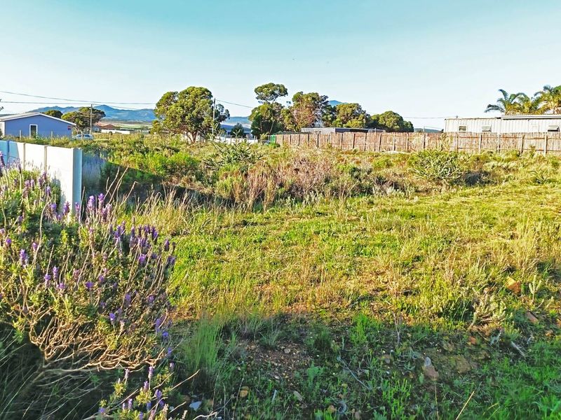 Big Skies,  Big Dreams! - Photo 6