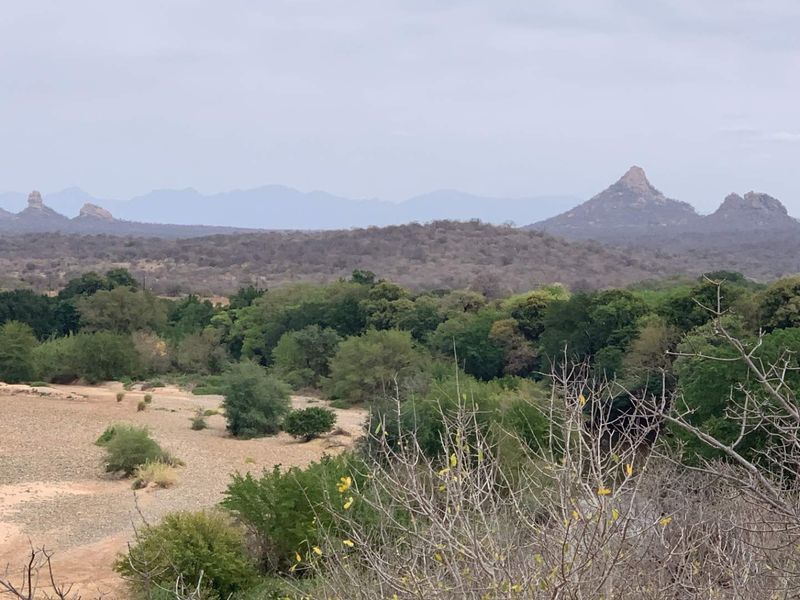 Vacant Land for sale in the new and popular Elephant Rock Eco Estate!! - Photo 4