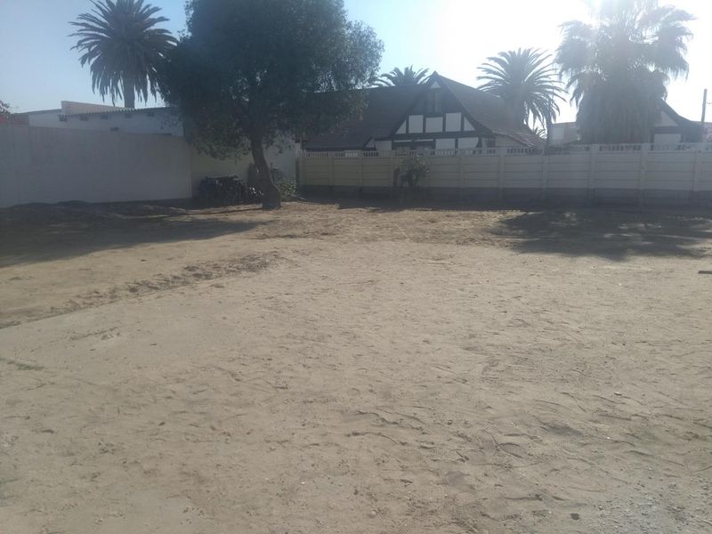 A large, undeveloped backyard area featuring sandy ground, mature palm trees, and a precast concrete boundary wall.