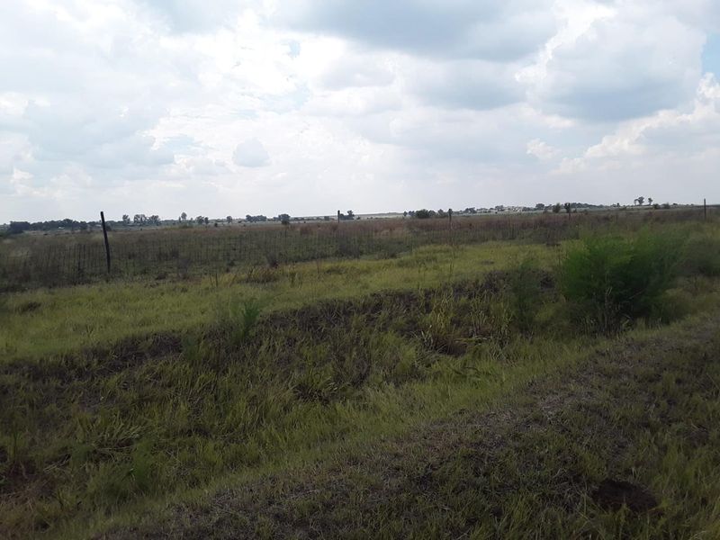 "Farm, Live, Thrive on 9.6 Hectares of Potential VACANT LAND IN KOPJES SETTLEMENT!!! - Photo 8
