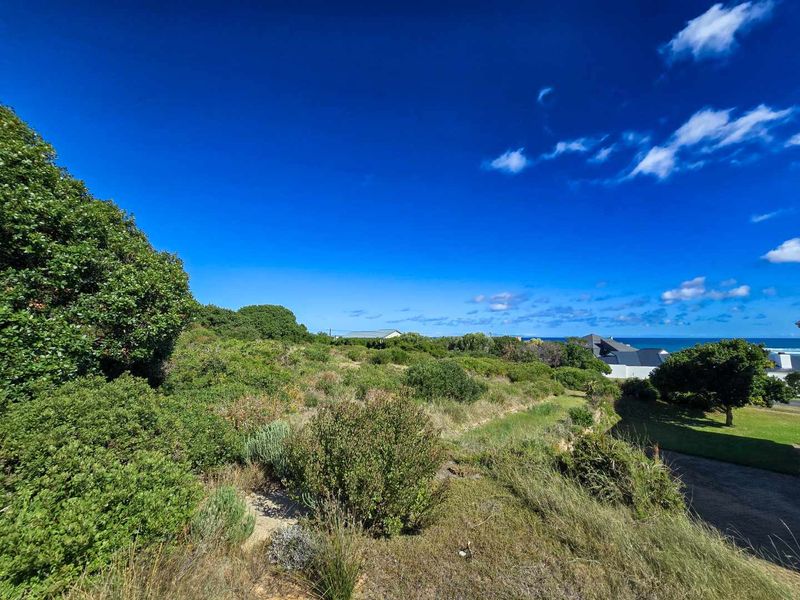 Prime vacant stand with permanent unobstructed views - Photo 9