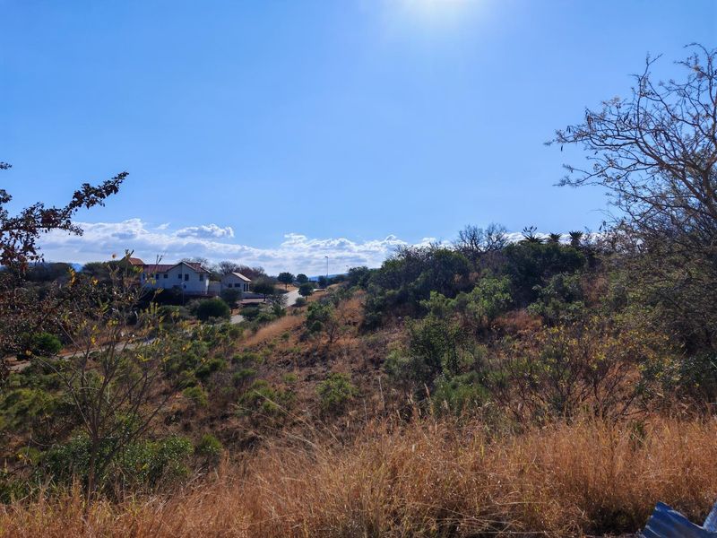 A scenic view of the natural landscape and surrounding residential area, showcasing the sloped terrain and native vegetation of the vacant land.