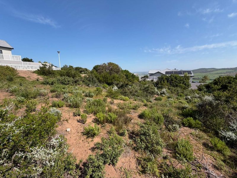 A sloped residential vacant land plot featuring natural vegetation with surrounding established homes in a quiet neighborhood setting.