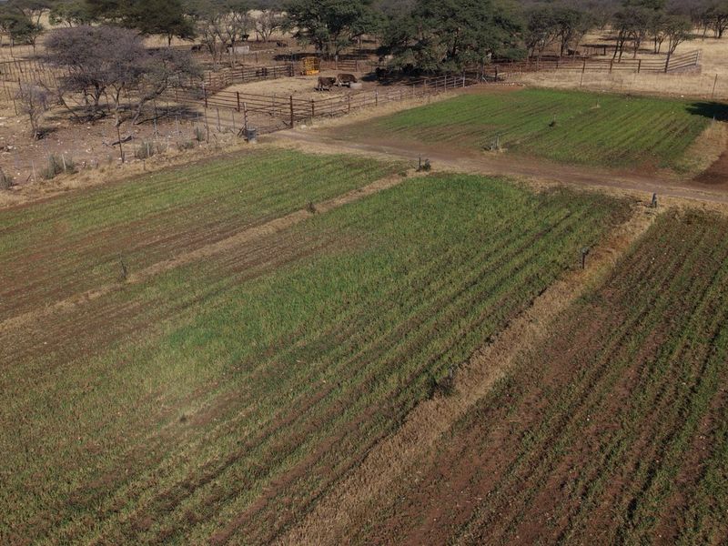 A genuine working farm for the serious agricultural buyer. - Photo 7