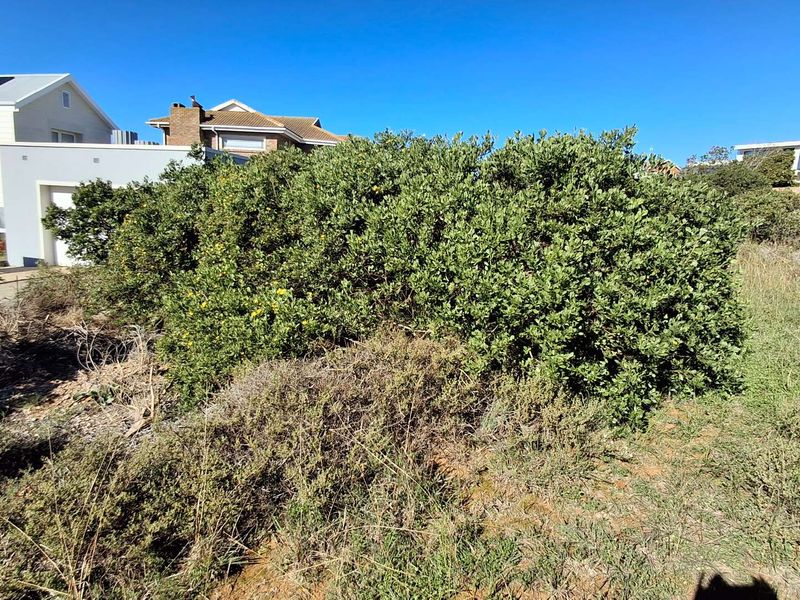 A view of the rear portion of the vacant residential land, featuring established native vegetation and surrounding residential properties.
