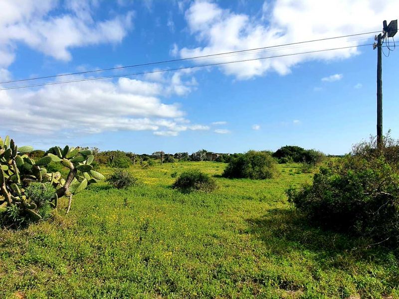 LIFESTYLE FARM FOR SALE - Photo 3