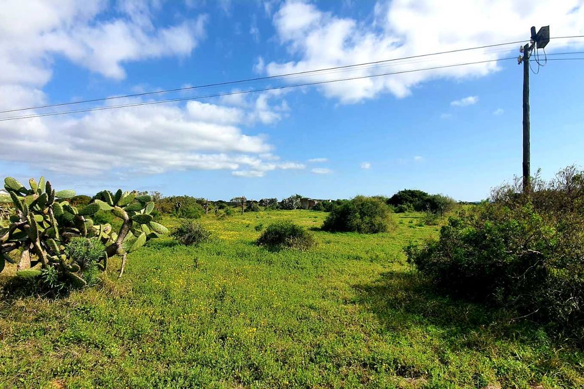 LIFESTYLE FARM FOR SALE - Photo 3