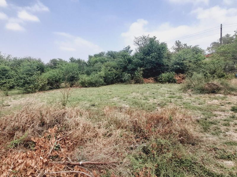 "Ultimate Privacy: Cul-de-Sac Gem in Birdwood Estate!" - Photo 5