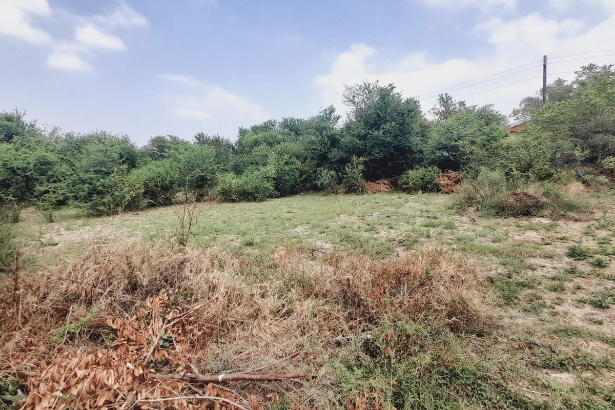 "Ultimate Privacy: Cul-de-Sac Gem in Birdwood Estate!" - Photo 5