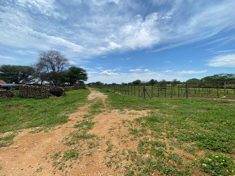 FOR SALE - Farm just outside Grootfontein - Photo 3