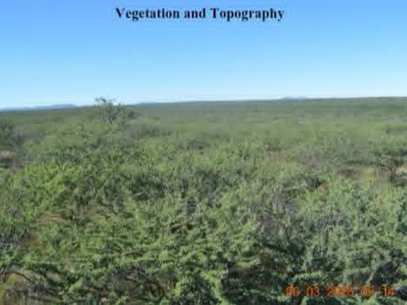 A wide-angle view of the farm property showcasing the natural vegetation and open topography of the landscape.