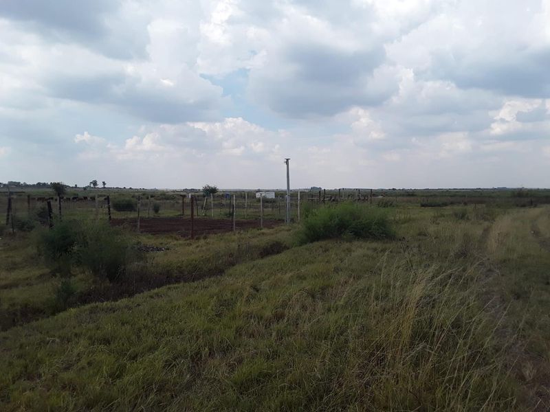 "Farm, Live, Thrive on 9.6 Hectares of Potential VACANT LAND IN KOPJES SETTLEMENT!!! - Photo 9