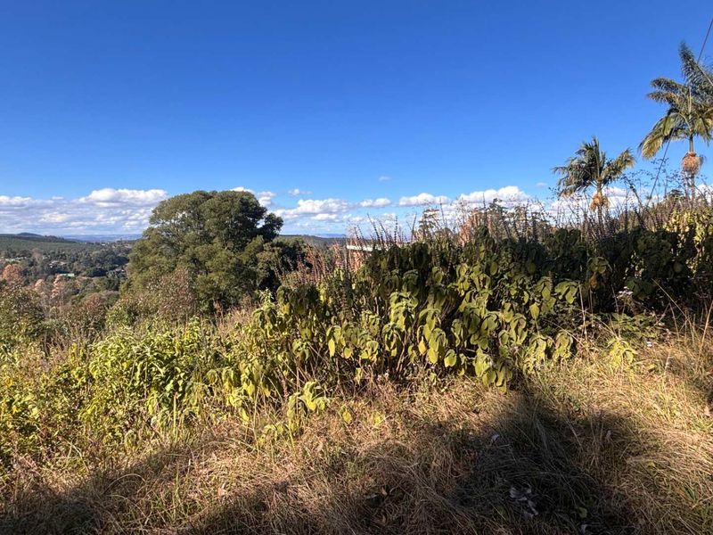 A scenic view overlooking the surrounding landscape and natural vegetation from the vacant residential property.