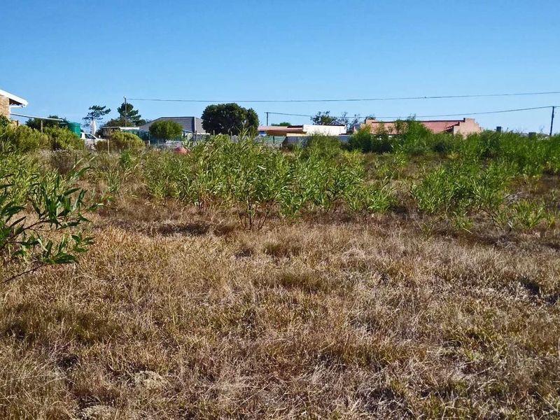 Home is where the herd is... - Photo 3