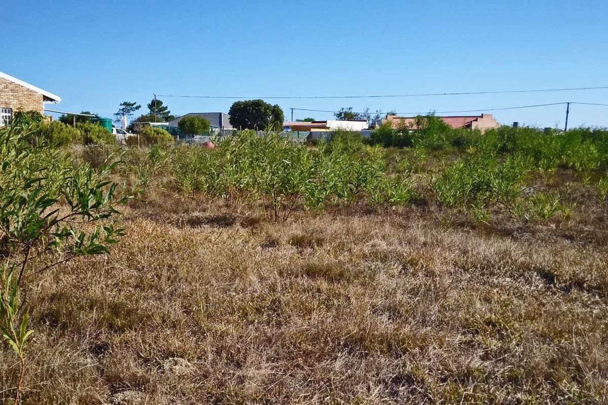 Home is where the herd is... - Photo 3