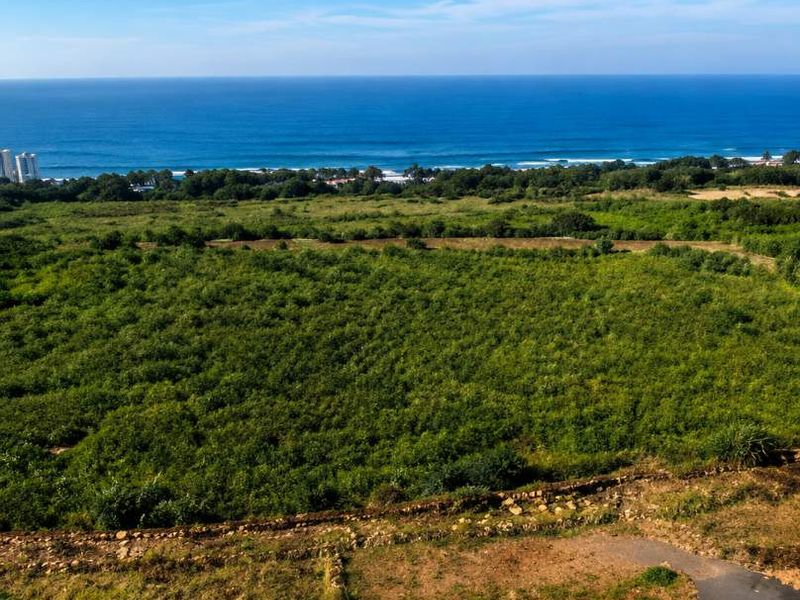 Elevated view overlooking a green landscape and the ocean, featuring a paved terrace area in the foreground.