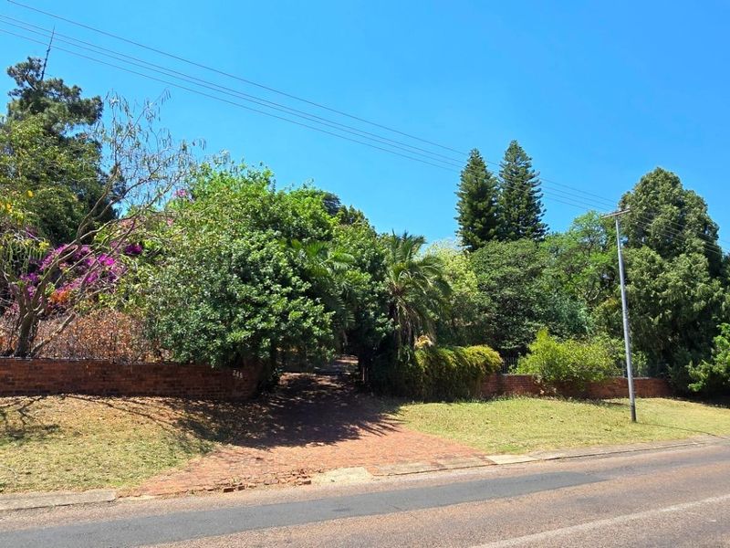 Orion's Belt - At Home Among the Stars - Photo 7