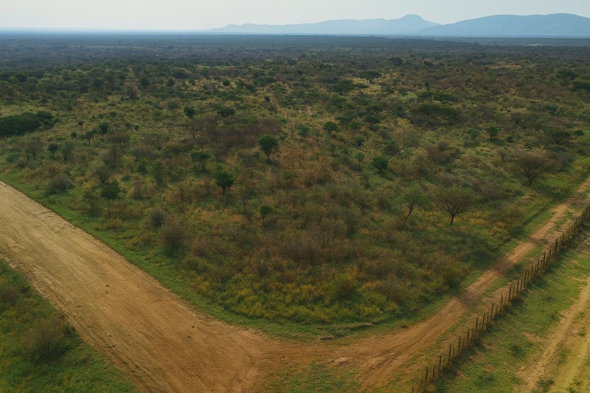 Move-in-ready 1,000ha farm within the municipal area — full ownership for foreign buyers (no waiver needed). - Photo 3