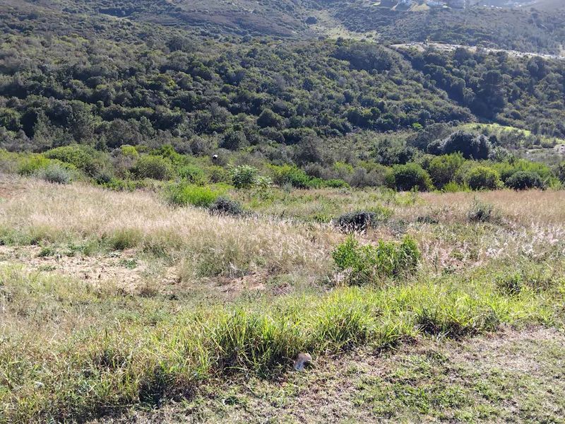 AVONDDANS: STUNNING  882 M2 VACANT LAND WITH MOUNTAIN VIEWS !!! - Photo 3