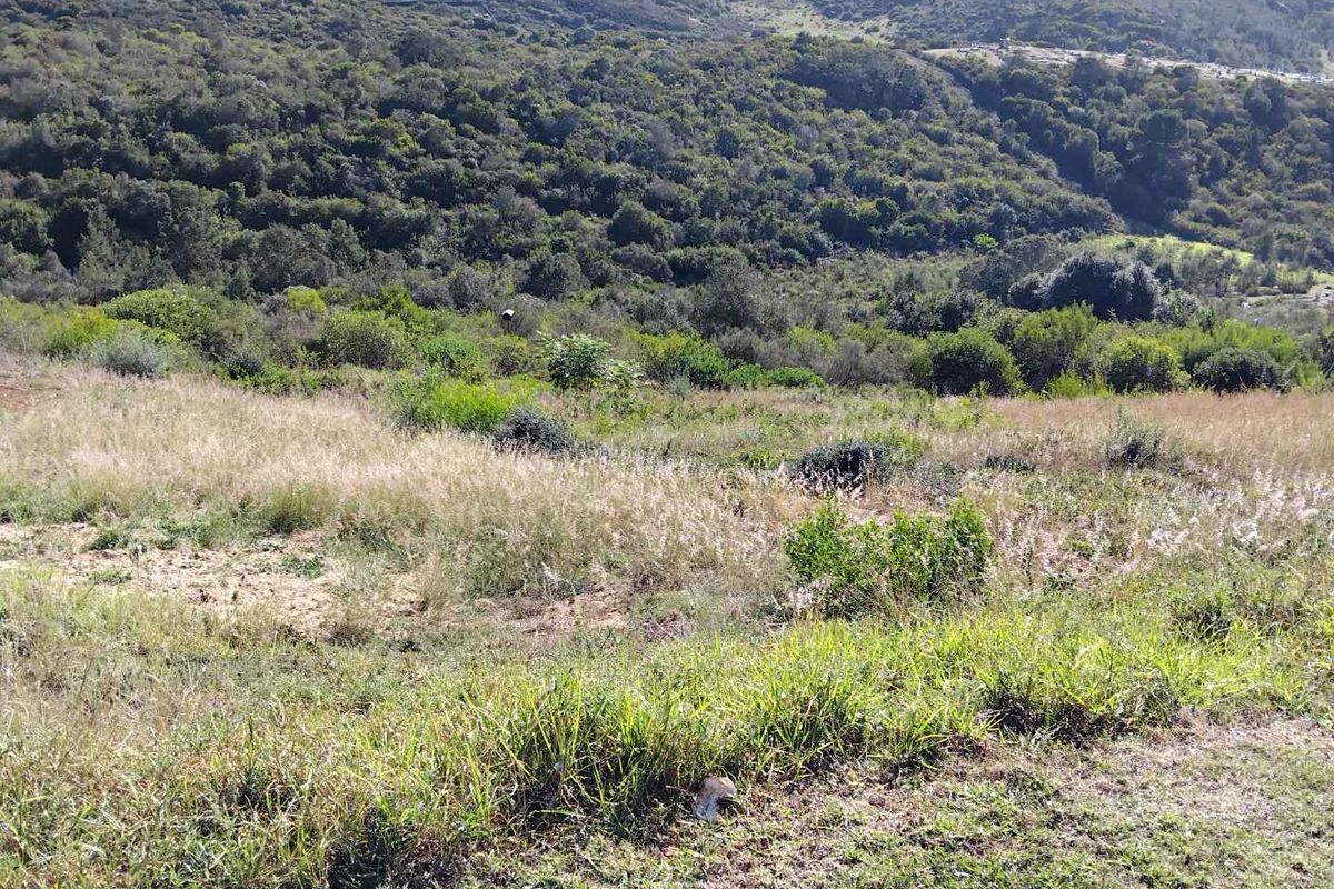 AVONDDANS: STUNNING  882 M2 VACANT LAND WITH MOUNTAIN VIEWS !!! - Photo 3