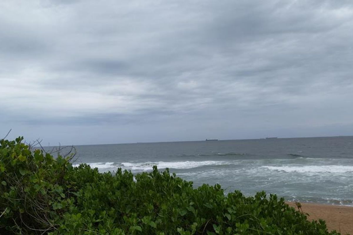 Investor Dream Land - Photo 4