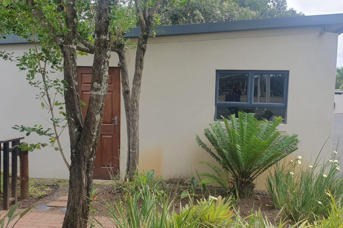 Exterior view of the property showing a rear access door, aluminium window, and paved walkway with landscaped garden area.