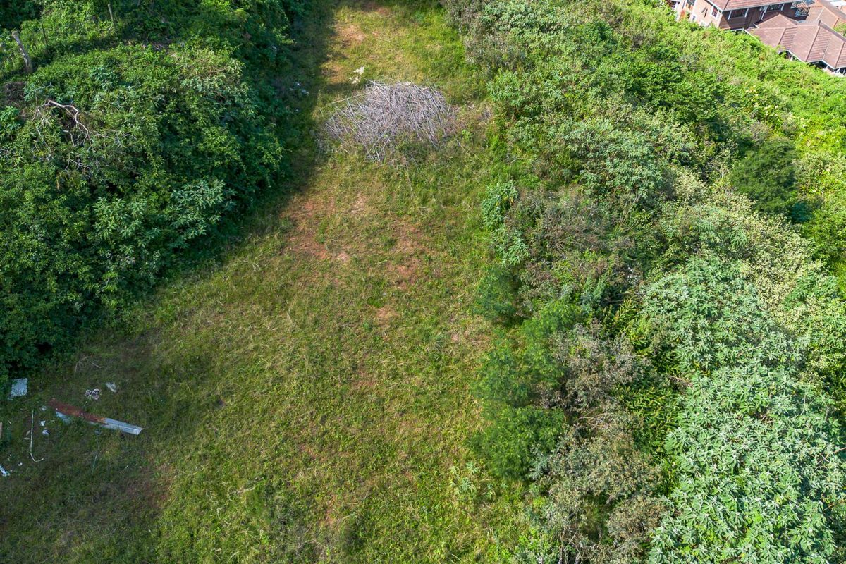 Developmental Opportunities or a Dream Home - Photo 2