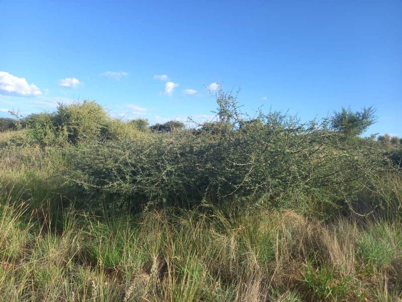 FIRST OF THE GRID MANAGED NATURE ESTATE - NISH LIVING - Photo 4